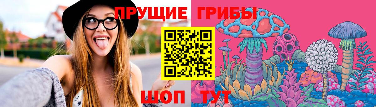 Псилоцибиновые грибы Psilocybe  Вход с VPN  Жуковский  где найти наркотики  Псилоцибиновые грибы MAGIC MUSHROOMS 